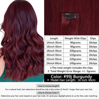 Thumbnail for Clip In Real Human Hair Extensions - Free Color Matching! -, Hair Extensions , Drestiny , Australia, Black, Blonde, Brown, Burgundy, Canada, FR, Hair Extensions, New Zealand, Red, United Kingdom, United States , Drestiny , www.shopdrestiny.com
