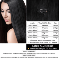 Thumbnail for Clip In Real Human Hair Extensions - Free Color Matching! -, Hair Extensions , Drestiny , Australia, Black, Blonde, Brown, Burgundy, Canada, FR, Hair Extensions, New Zealand, Red, United Kingdom, United States , Drestiny , www.shopdrestiny.com