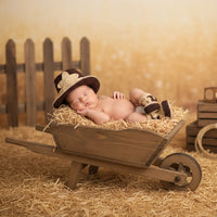 Thumbnail for Newborn baby in a wooden wheelbarrow with hay, wearing a hat and outfit, against a warm-toned background.