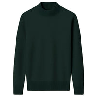 Thumbnail for Dark green turtleneck sweater on a white background