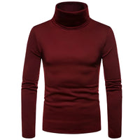 Thumbnail for Wine red turtleneck sweater on a white background