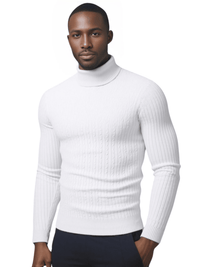 Thumbnail for Men's Turtleneck Sweaters Solid Color Slim Fit Fashionable Pullover Mens Winter Outdoor Tops, Drestiny, Sweaters, Turtlenecks, Casual Shirts, Long Sleeves, Dress Shirts, S, M, L, XL, XXL, 2XL, 3XL, XXXL, Navy Blue, Red, Sapphire Blue, Yellow, Grey, Dark Grey, Wine Red, Army Green, White, Black, Beige, Brown, United States, USA, Canada, Australia, New Zealand, United Kingdom, UK, men's turtleneck sweater, slim fit turtleneck men, mens turtleneck sweater outfit, shopdrestiny.com