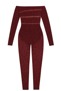 Thumbnail for Maroon jumpsuit with long sleeves on a white background