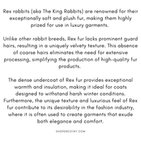Thumbnail for Real Rex Rabbit Fur Coat With Fox Fur Collar Women's Rabbit Fur Short Jacket Thick Warm New Fashion, Drestiny, Coats, Fur Coats, United States, USA, Canada, Australia, New Zealand, United Kingdom, UK, M, L, XL, XXL, 2XL, 3XL, XXXL, Rex Rabbit Fur Coat, Luxury Rex Rabbit Fur Coat, Buy Rex Rabbit Fur Coat, Women's Rex Rabbit Fur Coat, Rex Rabbit Fur Coat For Sale, Wine Red, Coffee Brown, Black, Slate, Olive Green, shopdrestiny.com
