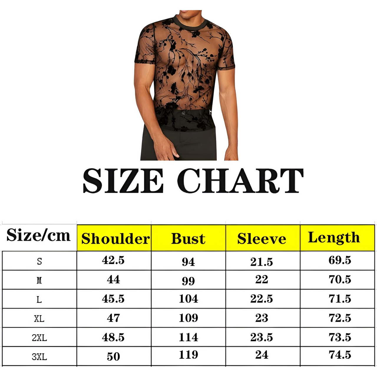 Summer Clothing Men's Black Sheer T-Shirt Streetwear Hollow-Out O Neck Short Sleeve Tees Rose Printed, Drestiny, Black, T-Shirts, Short Sleeves, Casual Shirts, S, M, L, XL, XXL, 2XL, 3XL, XXXL, United States, USA, Canada, Gender Men, Australia, New Zealand, United Kingdom, UK, Men's sheer black top, Black see-through shirt men, mesh black mesh shirt, Black transparent t-shirt men, men's black festival top, shopdrestiny.com