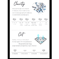 Thumbnail for 3.0 Carat Moissanite Gemstone Stud Earrings for Women Solid 925 Sterling Silver D color Solitaire Fine Jewelry -, Earrings , Drestiny , Australia, Canada, Earrings, New Zealand, Silver, United Kingdom, United States, White , Drestiny , www.shopdrestiny.com