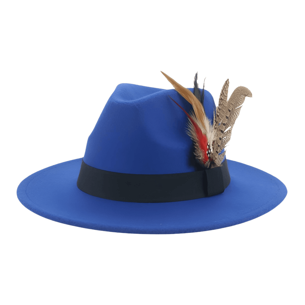 Blue Fedora With Feather and Band Detailing For Men & Women