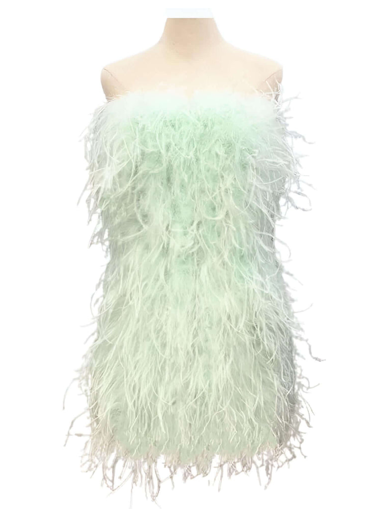 Indulge in the glamour of our 100% Ostrich Feather Mini Dresses in 11 chic colors. Shop at Drestiny for free shipping, tax coverage, and savings of up to 50%!