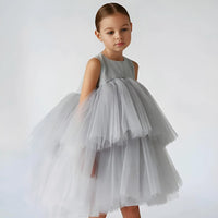Thumbnail for Young girl wearing a grey tulle dress against a white background