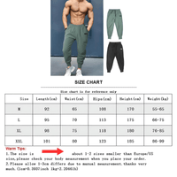 Thumbnail for Gym Fitness Sport Pants Men's Casual Training Pants Elastic Waist Ultra-Thin Quick Dry High Waist Loose Long Pants, Drestiny, Casual Pants, Activewear Pants, M, L, XL, XXL, Army Green, Black, Grey, Blue, United States, USA, Canada, Australia, New Zealand, United Kingdom, UK, workout pants, activewear pants men, running pants, joggers men, shopdrestiny.com
