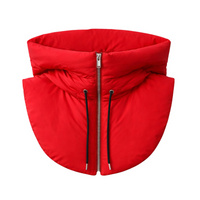 Thumbnail for Red puffer hood with a zipper on a white background