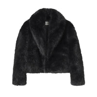 Thumbnail for Short black fur jacket on a white background