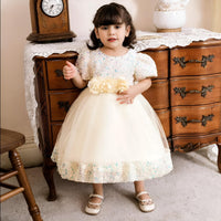 Thumbnail for Toddler Girls 1st Birthday Dress Bow Cute Baby Baptism Gown Kids Wedding Party Elegant Princess Christmas Dress -, Dress , Drestiny , 0M, 12M, 24M, 2T, 3T, 6M, Avocado Green, Black, Brown, Champagne, Dark Green, Dark Pink, Dark Red, Dresses, Girls, Gold, Green, Grey, Ivory, Light Green, Mini Dresses, Mint Green, Pink, Purple, Red, Short Sleeves, Yellow , Drestiny , www.shopdrestiny.com
