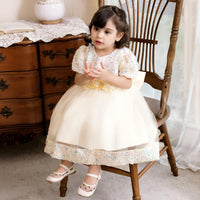 Thumbnail for Toddler Girls 1st Birthday Dress Bow Cute Baby Baptism Gown Kids Wedding Party Elegant Princess Christmas Dress -, Dress , Drestiny , 0M, 12M, 24M, 2T, 3T, 6M, Avocado Green, Black, Brown, Champagne, Dark Green, Dark Pink, Dark Red, Dresses, Girls, Gold, Green, Grey, Ivory, Light Green, Mini Dresses, Mint Green, Pink, Purple, Red, Short Sleeves, Yellow , Drestiny , www.shopdrestiny.com