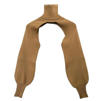 Thumbnail for Brown turtleneck sweater on a white background