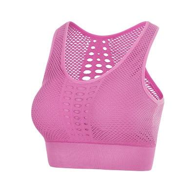 Sexy Mesh Breathable Sports Top Or Bra - Drestiny